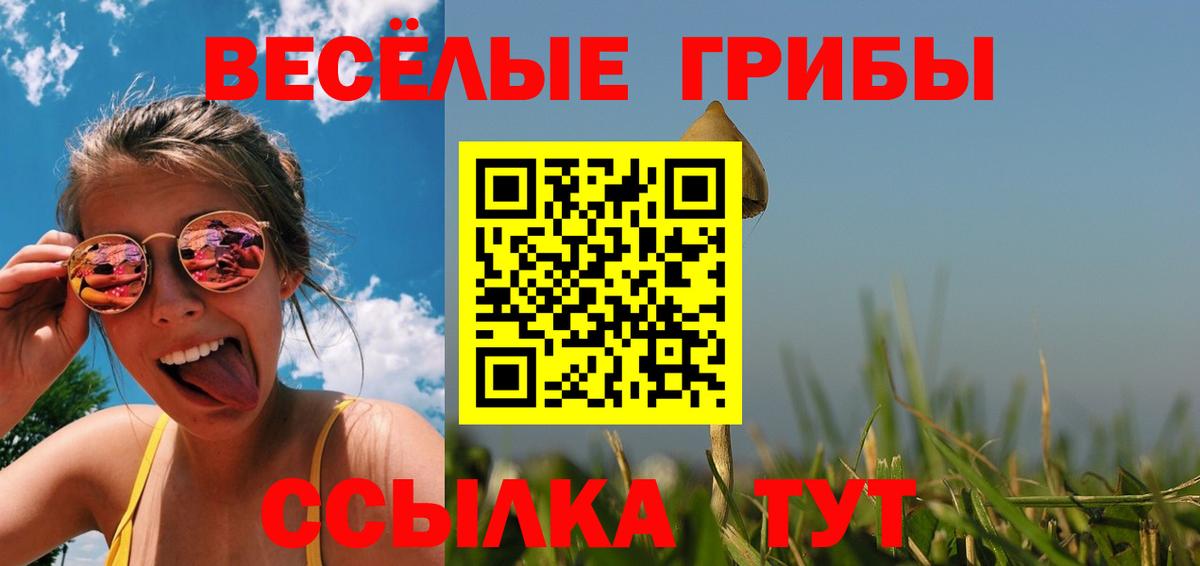 Псилоцибиновые грибы Psilocybine cubensis Казань